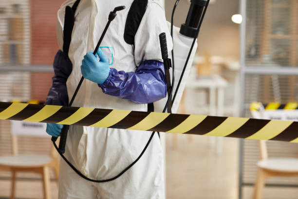 Professional Hoarding Cleanup technician working in Newport, NJ
